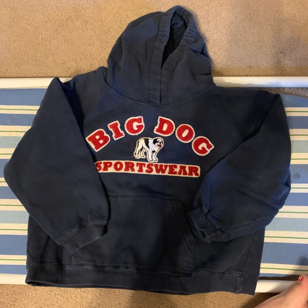 Kids Big Dog Sportswear hoodie